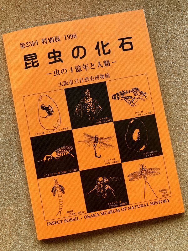 昆虫の化石－虫の4億年と人類－ - 大阪市立自然史博物館友の会ネットショップ