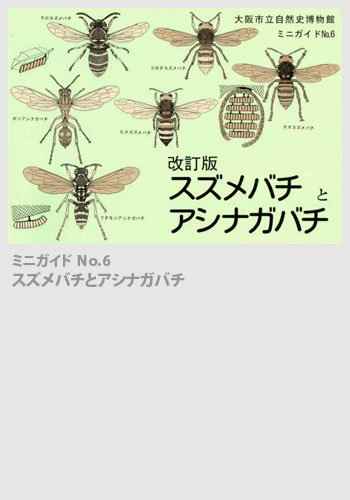 ミニガイドNo.6「スズメバチとアシナガバチ」（改訂版）