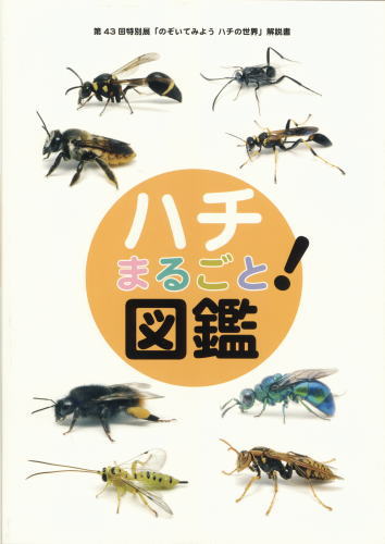 ハチ まるごと 図鑑 大阪市立自然史博物館友の会ネットショップ