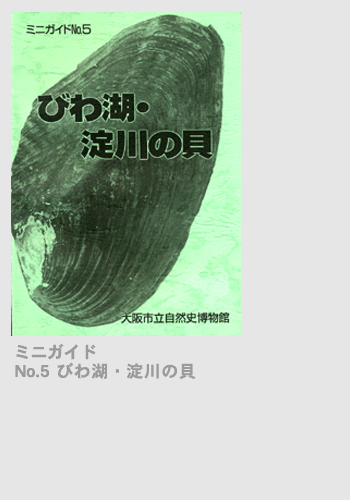 ミニガイドno 5 びわ湖 淀川の貝 大阪市立自然史博物館友の会ネットショップ