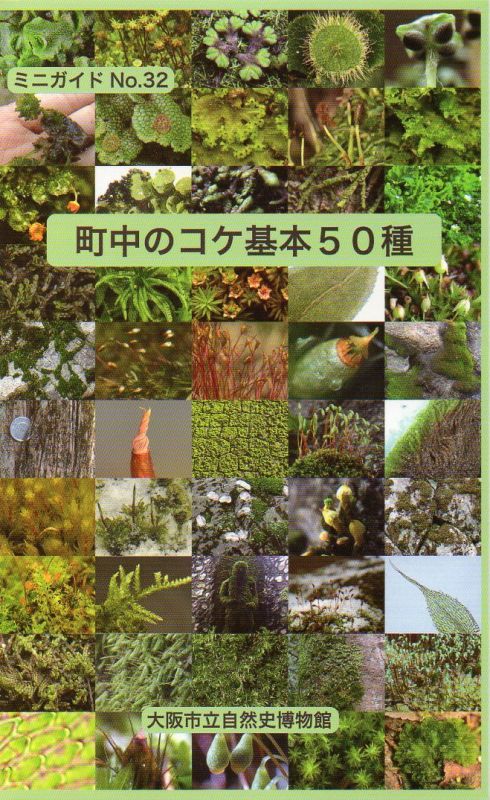 ミニガイドno 32 町中のコケ基本50種 大阪市立自然史博物館友の会ネットショップ
